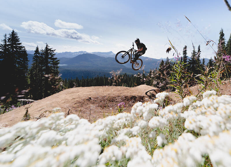 Mount Washington Bike Park