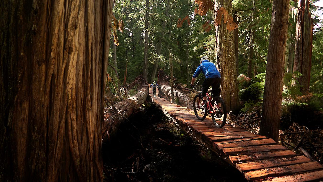 Nelson Kaslo Mountain Biking BC