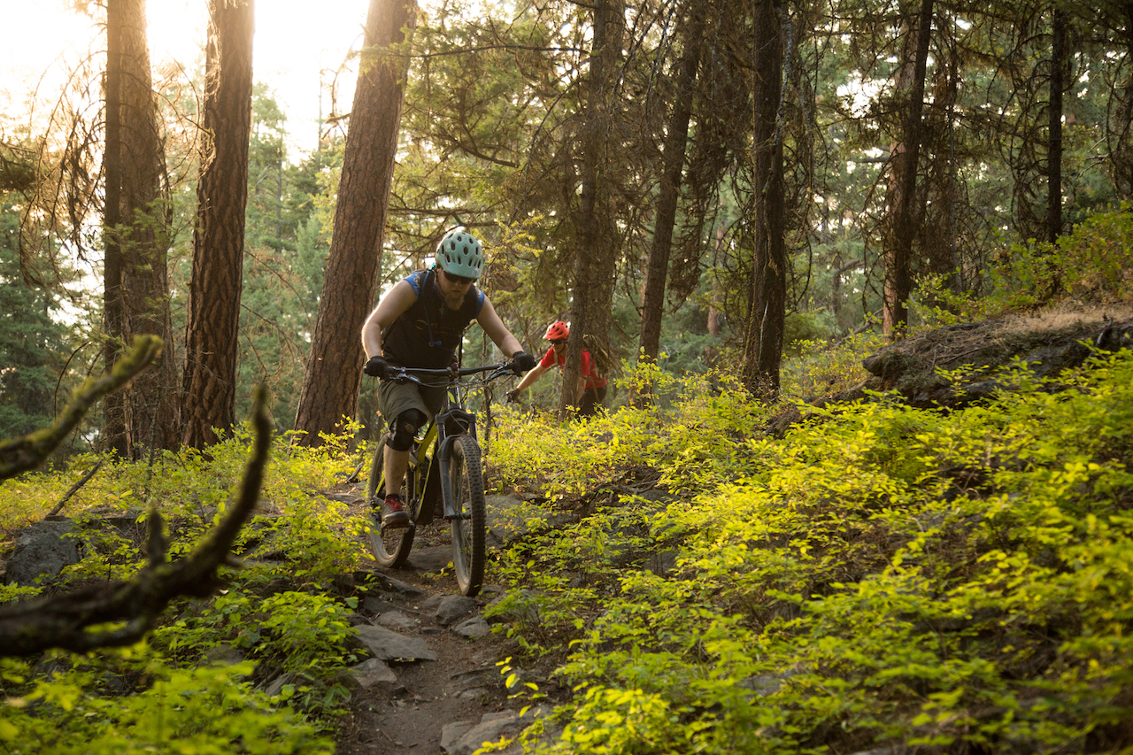 mountain biking bc tourism