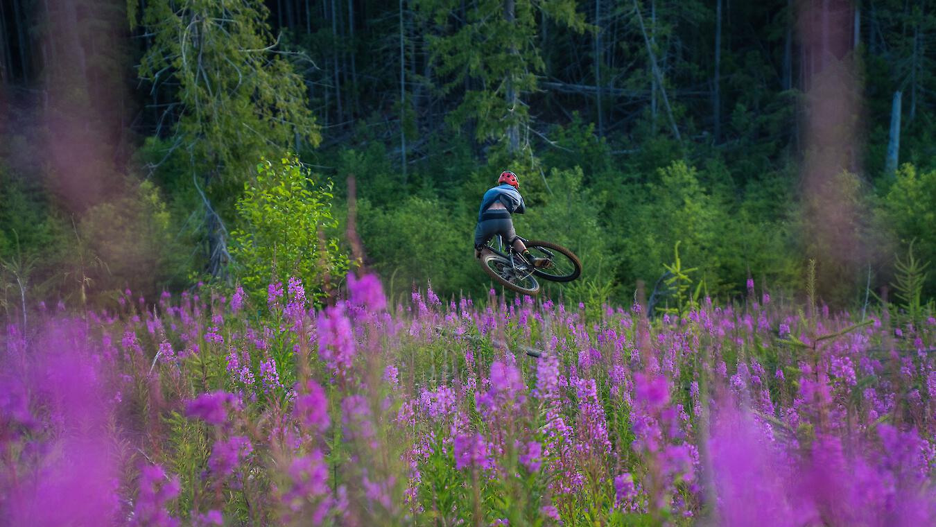 Whistler Mountain Bike Park 102: A Beginner to Intermediate Guide