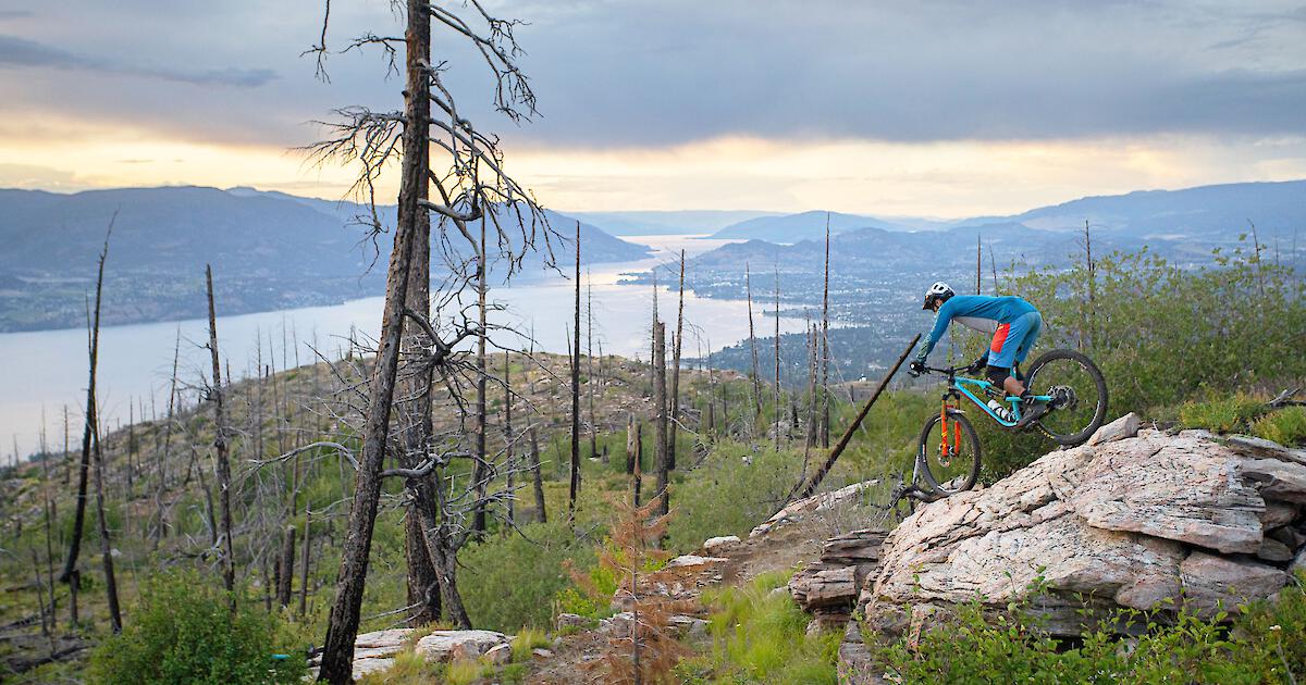 Knox mountain hotsell bike trails