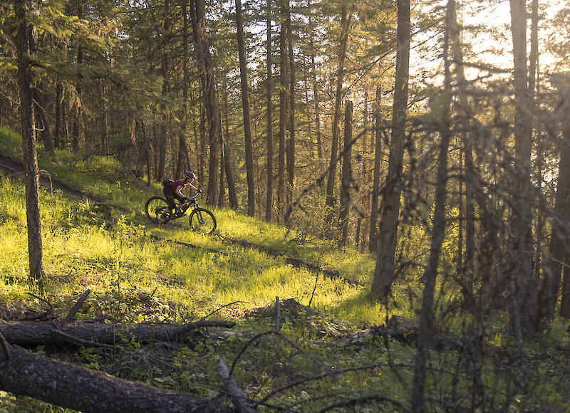 Kelowna  Mountain Biking BC