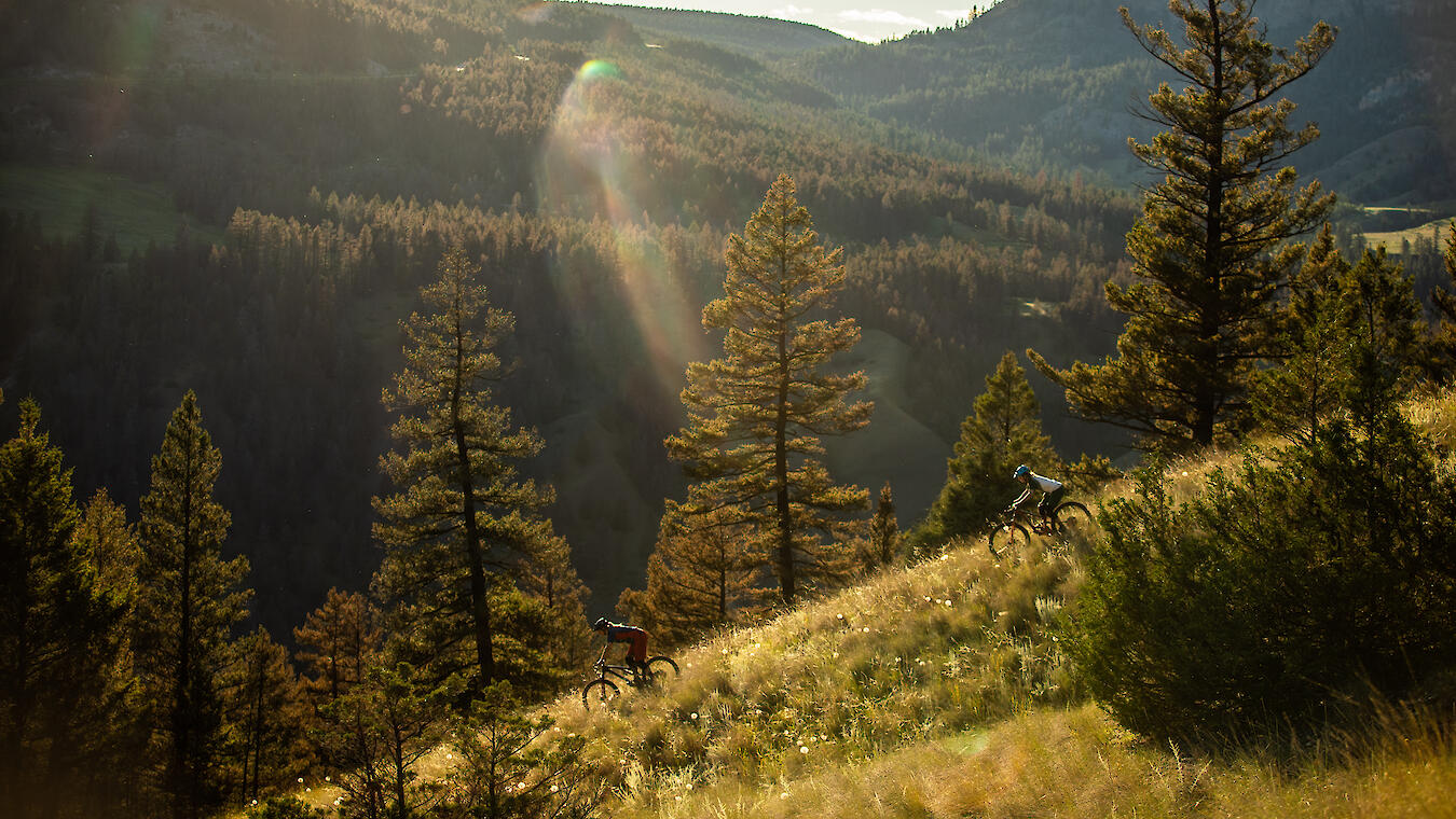 Williams Lake biking