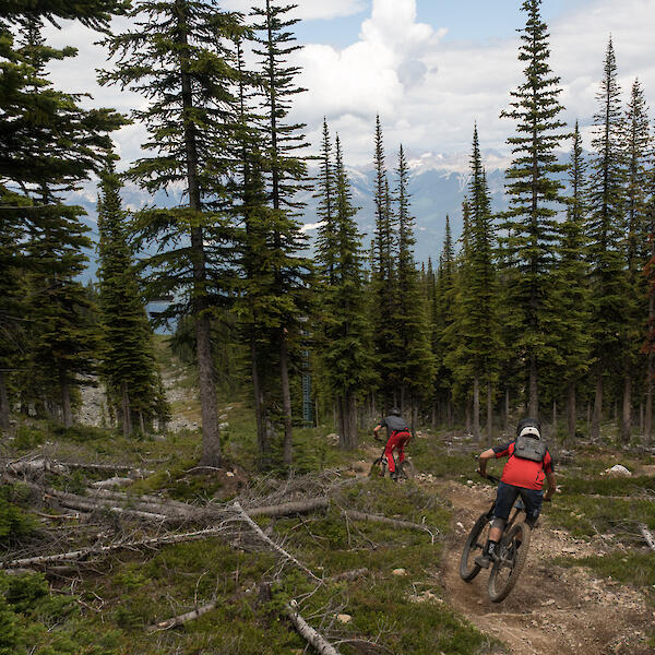 Kicking horse mountain online bike park