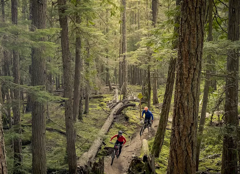 Whistler
