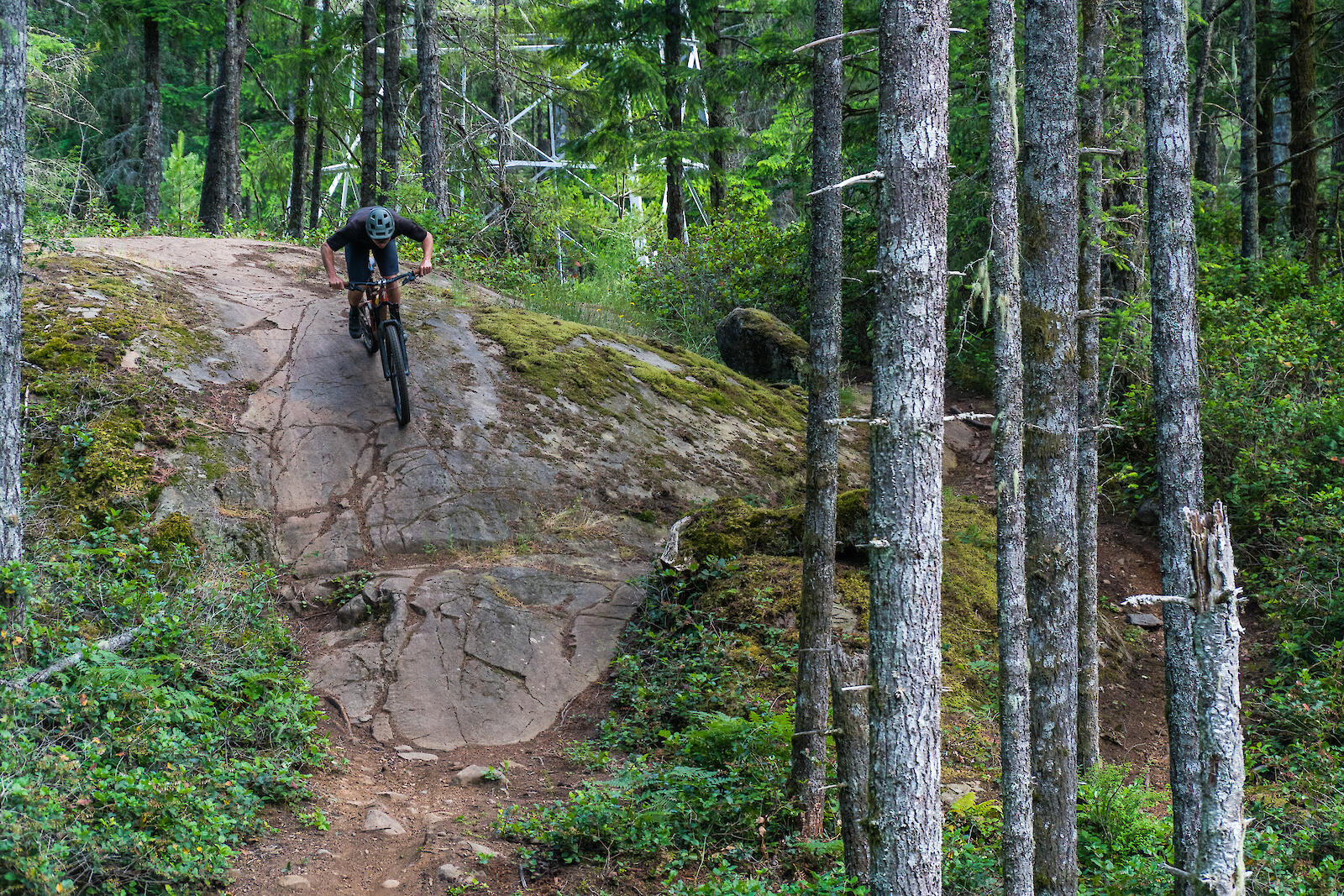 Exploring Vancouver Island's Varied & Unique Trail Network: A