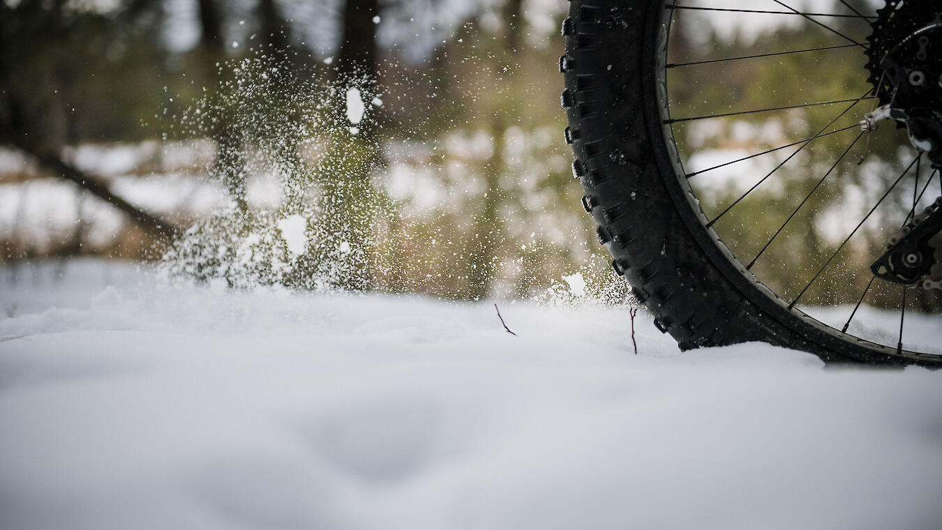 Fat bike tire in the snow