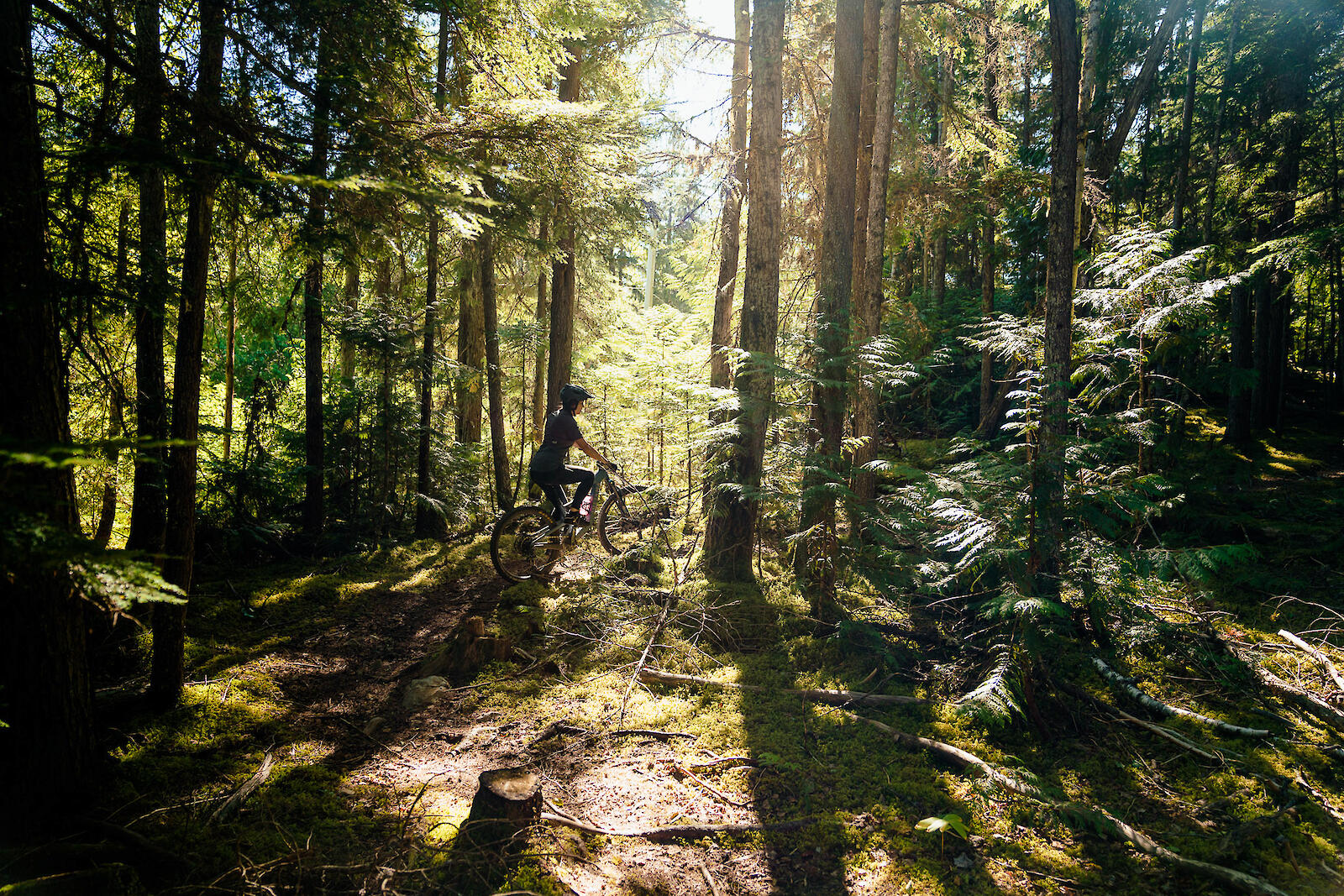 Connection through Recreation: How Trail Networks in Indigenous