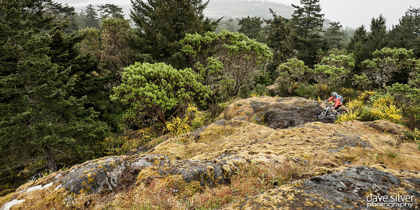 Biking in Sooke